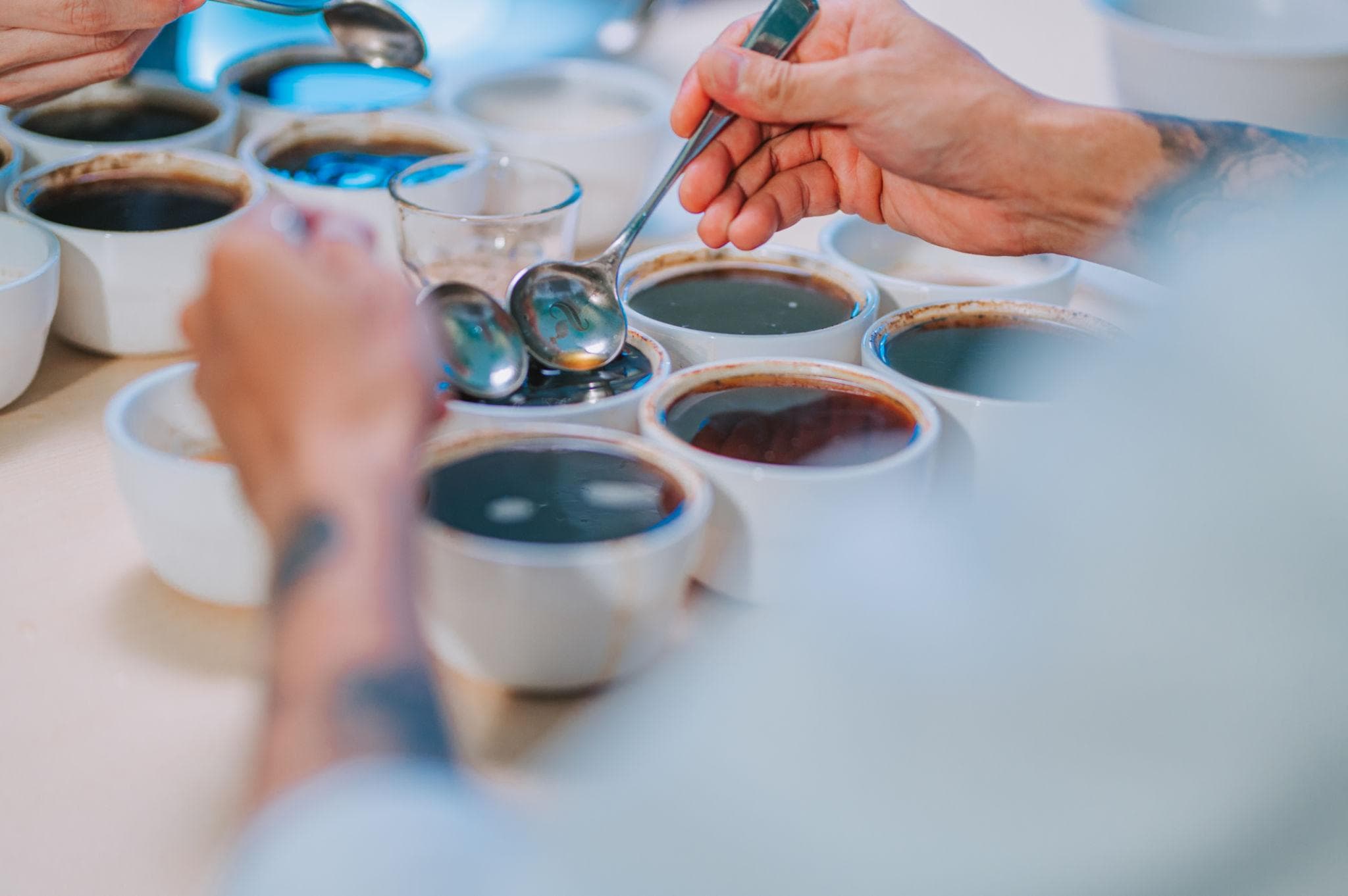 Sensorische Verkostung von Kaffee am Cupping-Tisch