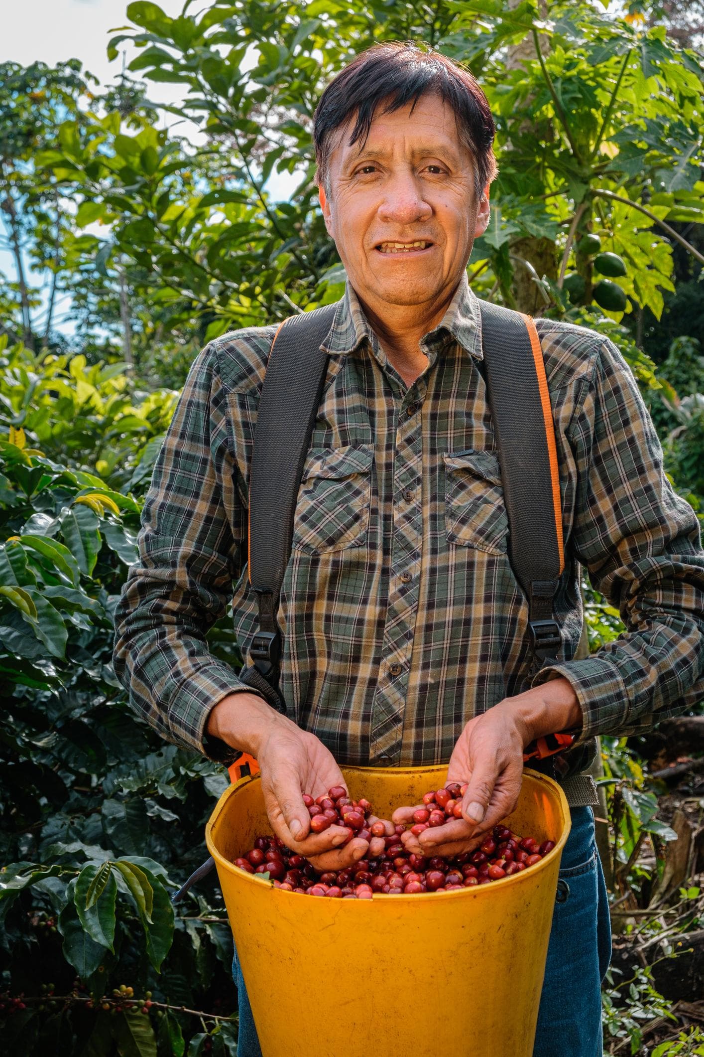 Transport von Rohkaffee