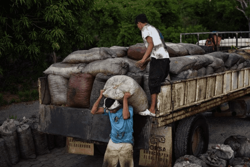 Transportwege und Infrastruktur in bolivianischen Kaffeeanbaugebieten